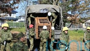 Japan sends troops to northern region to help stop bear attacks