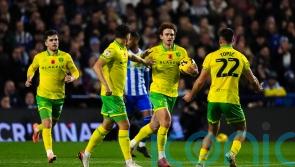 Norwich end six-match losing run with draw at Sheffield Wednesday