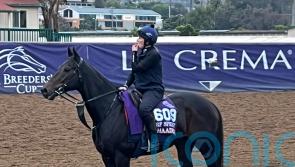 Khaadem heading for Hong Kong run