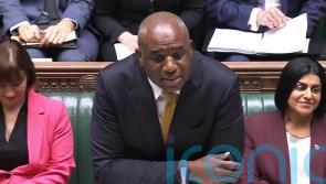 Lammy under fire for buying suit instead of ‘taking charge’ of mistaken releases