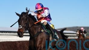 Haiti Couleurs delights with Newbury comeback win