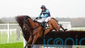 Thistle Ask has all the answers in Haldon Gold Cup