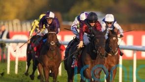 Castle Cove collects November Handicap for Lincoln-winning connections