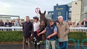 Only By Night prevails in thrilling Barberstown finish at Naas