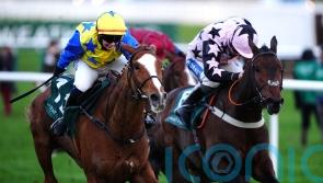 Heads Up set for Cheltenham on Friday