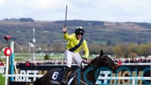 Marine Nationale on course for Fortria return despite softening conditions