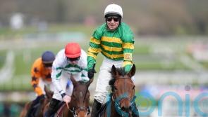 All-star cast assembled for Newcastle&rsquo;s Fighting Fifth Hurdle