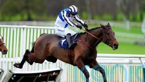 Derryhassen Paddy and Sixmilebridge line up for midweek cracker at Ayr