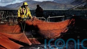 Scottish salmon adds &pound;1 billion to national economy, say new figures