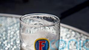 Heineken cuts strength of Foster&rsquo;s lager as duty rises and sales slump