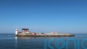 Sauna hopping and seaweed foraging in Sweden’s second city – Gothenburg