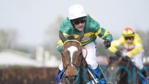 Jonbon targets record third Shloer win