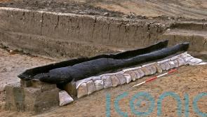 Bronze Age log boats discovered in silted-up creek to go on display