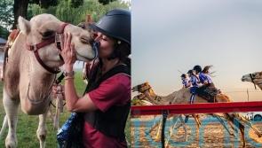 Woman who became a pro camel rider at 40 and hopes it becomes an Olympic sport says it ‘isn’t for the faint-hearted’