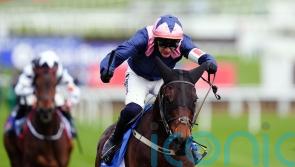 Kopek Des Bordes all set to light up Navan for owner McCarthy