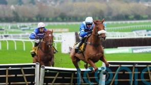 Triumph Trial turns into One Horse affair at Cheltenham