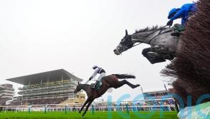 July Flower in full bloom for De Bromhead at Cheltenham