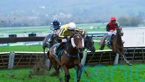 Lavender Hill Mob stars with 33-1 Cheltenham surprise