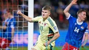 Wales tee up crunch North Macedonia clash with win in Liechtenstein