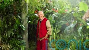 Martin Kemp and Kelly Brook among stars skydiving into I’m A Celebrity