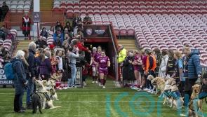 Guide Dogs puppies form guard of honour at Premiership Women’s Rugby match