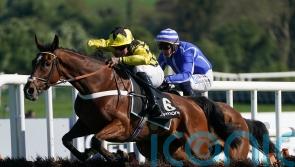 All eyes on Lulamba for first start over fences at Exeter