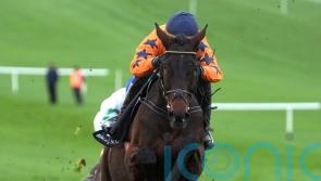 &lsquo;Fantastic&rsquo; Final Demand looks the part on fencing bow at Navan