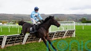 Soldier Reeves strikes, with Ambiente Friendly fourth on hurdling debut