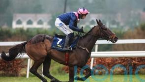 Connections ready ahead of Kopek Des Bordes&rsquo; eagerly-awaited chasing debut