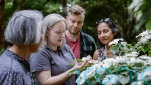 Gardening gifts with learning in mind