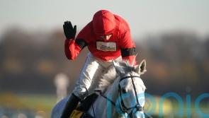 Grey Dawning ready to bid for Betfair Chase redemption
