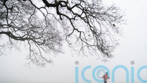 Amber cold weather health alert issued as temperatures could plunge to -10C