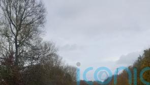 Government encouraged to give order to clean up ‘obscene’ illegal rubbish dump