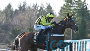 Lulamba makes perfect chase start at Exeter