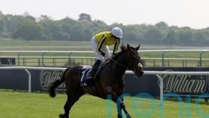 Owen to hunt better ground for Ambiente Friendly