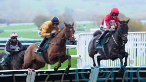 Johnson adapting to chasing winners as syndicate head