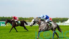 Replendent Grey firmly on course for Newbury Gold run