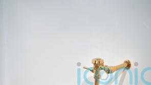 Ripley’s ‘flush with excitement’ after buying gold toilet worth £9.3m