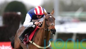 &lsquo;Main game&rsquo; on fixture list awaiting Redknapp ace after Haydock return