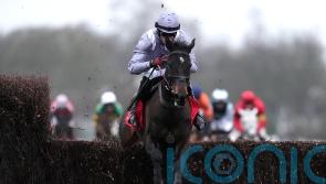 Tom George looking forward to getting Il Est Francais started