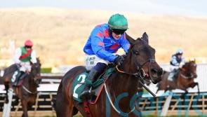 Wodhooh and company promise to make Ascot Hurdle informative