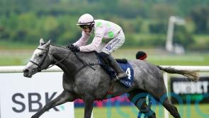 All eyes on Lossiemouth in test of two-mile credentials at Punchestown