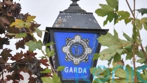 Initial report into fatal plane crash in Co Waterford due within 30 days