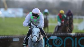 Lossiemouth in cruise control to take Morgiana Hurdle