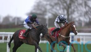Wodhooh obliges for Elliott in Ascot Hurdle