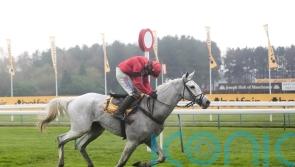 Grey Dawning imperious in Betfair Chase victory