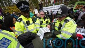 Daughter of Holocaust survivor among those arrested at Palestine Action protest
