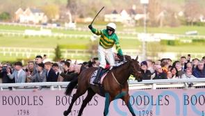 Inothewayurthinkin satisfies Cromwell with Punchestown return