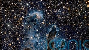 Scientists find space dust may be needed for life, in first study of its kind