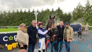 Sonic Pioneer keeps Harry Redknapp on crest of a wave